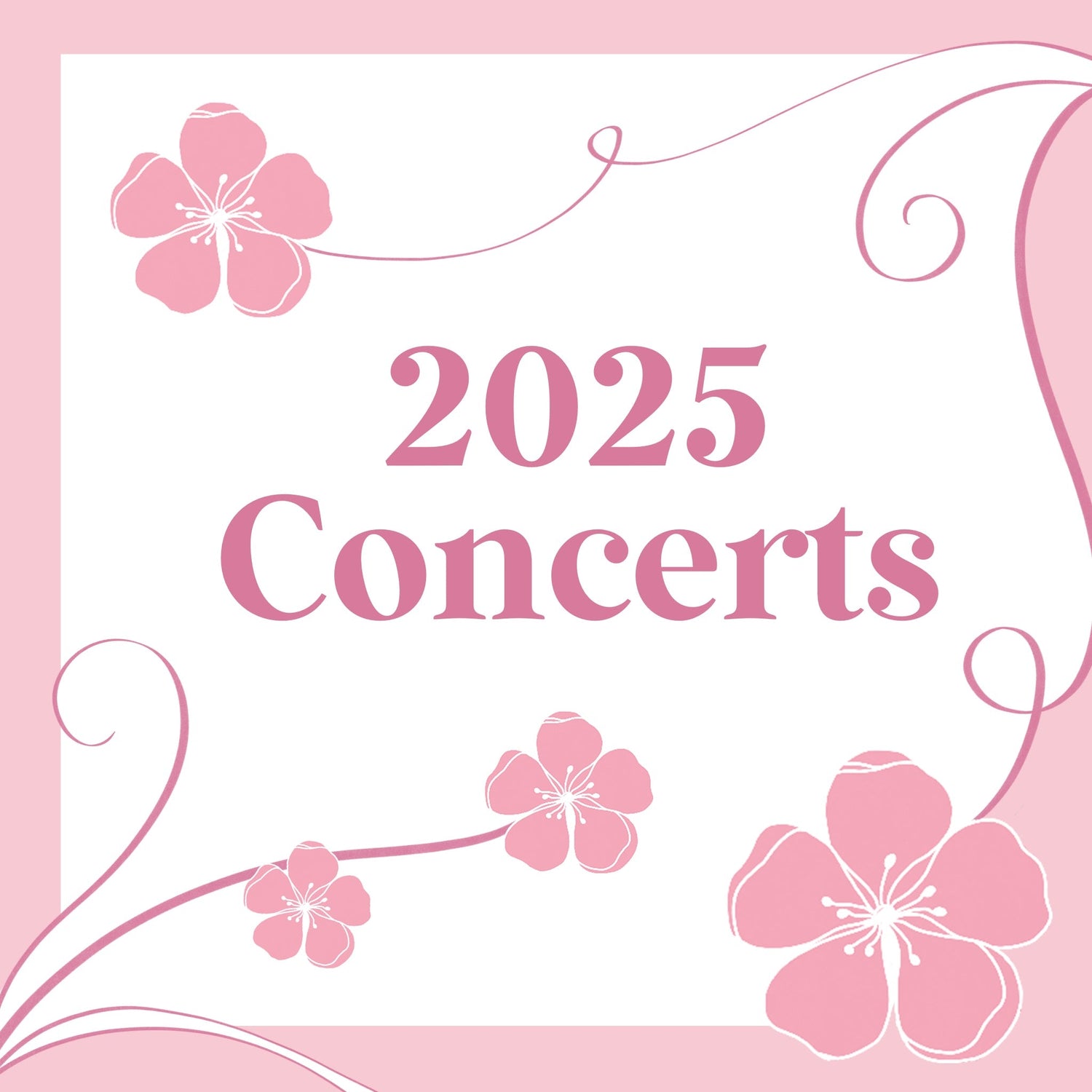 2025 Concert Bags