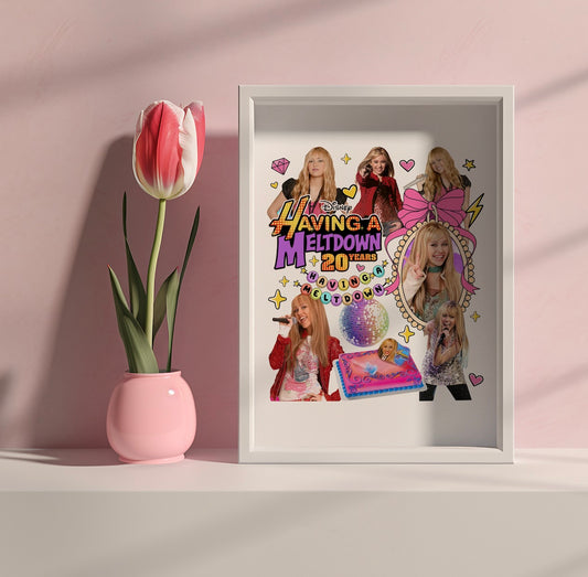 Having a Meltdown 20 Years Poster