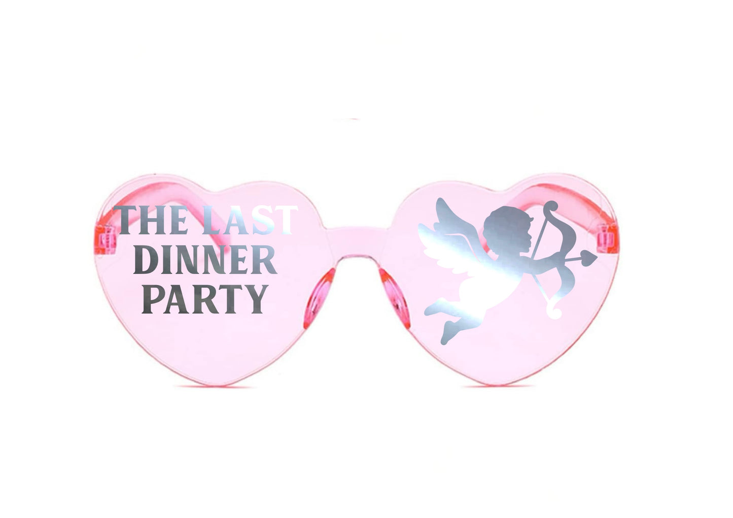 TLDP Indie Group 2025 Tour Sunglasses