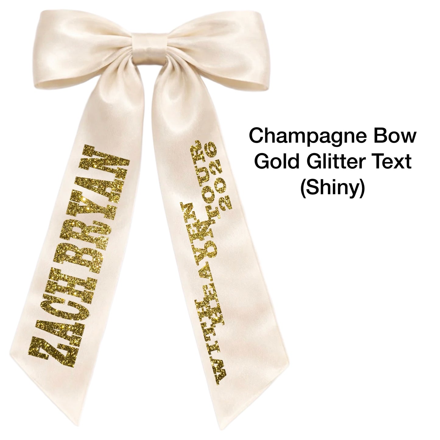 ZB Concert Hair Bows