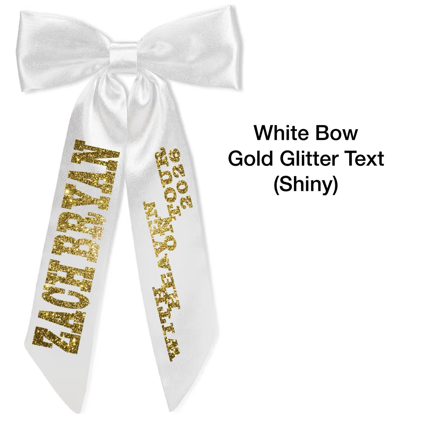 ZB Concert Hair Bows