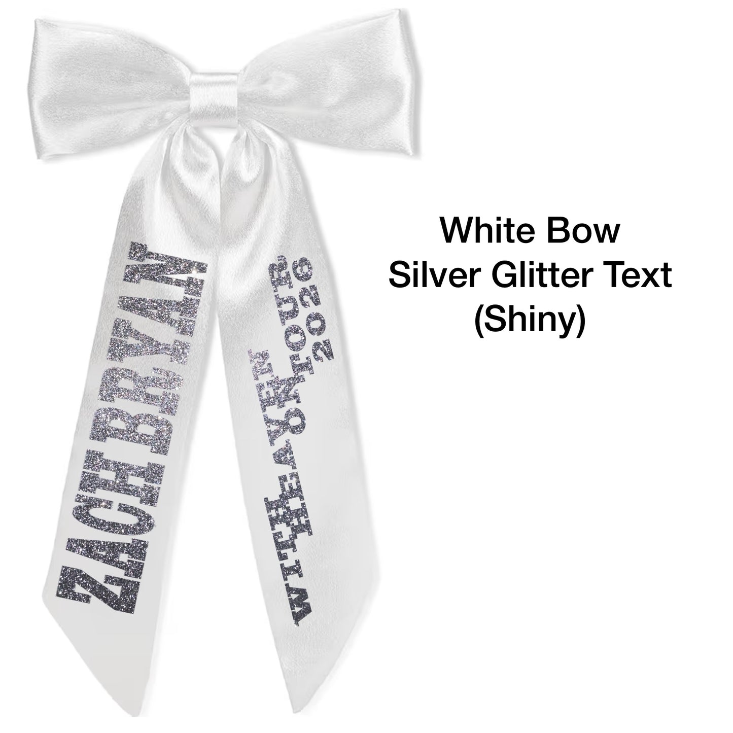 ZB Concert Hair Bows