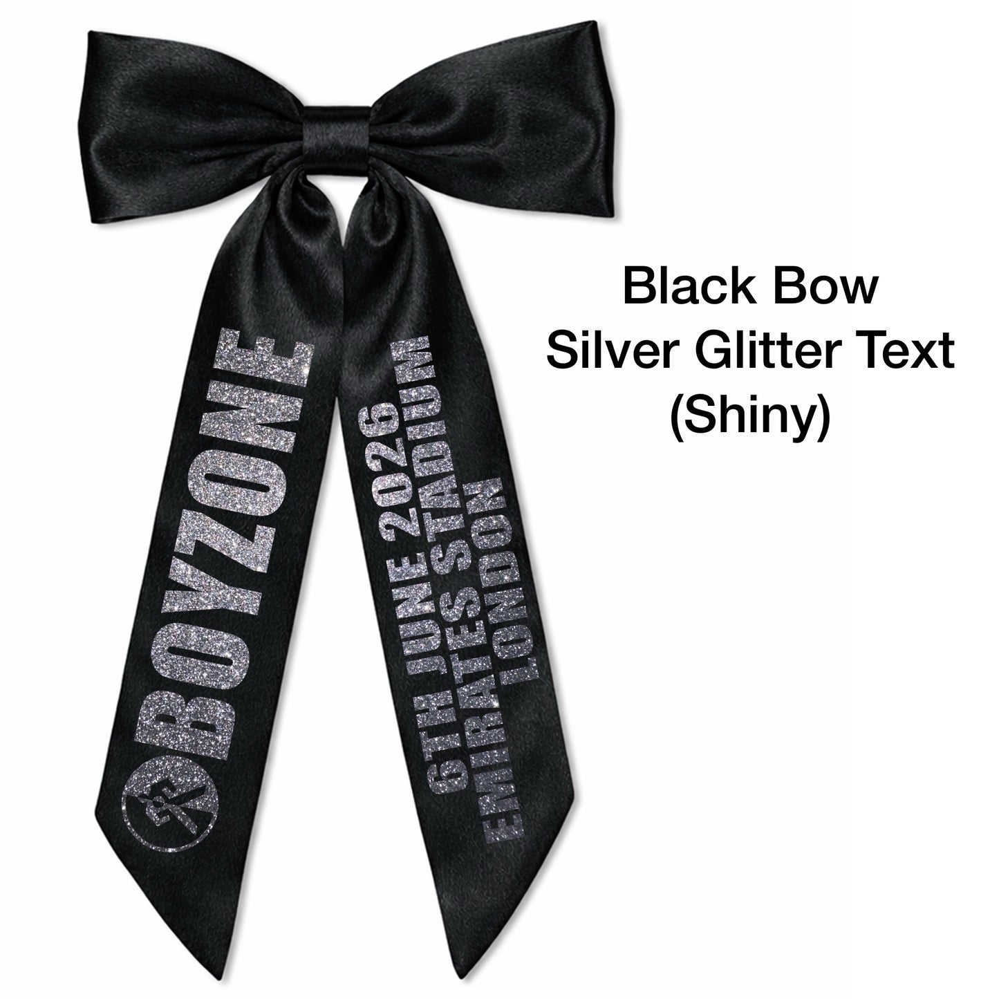 BZ Concert Hair Bows