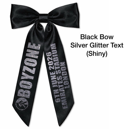 BZ Concert Hair Bows