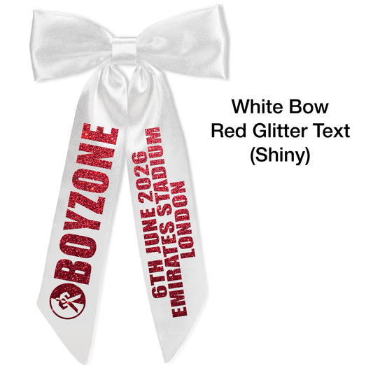 BZ Concert Hair Bows