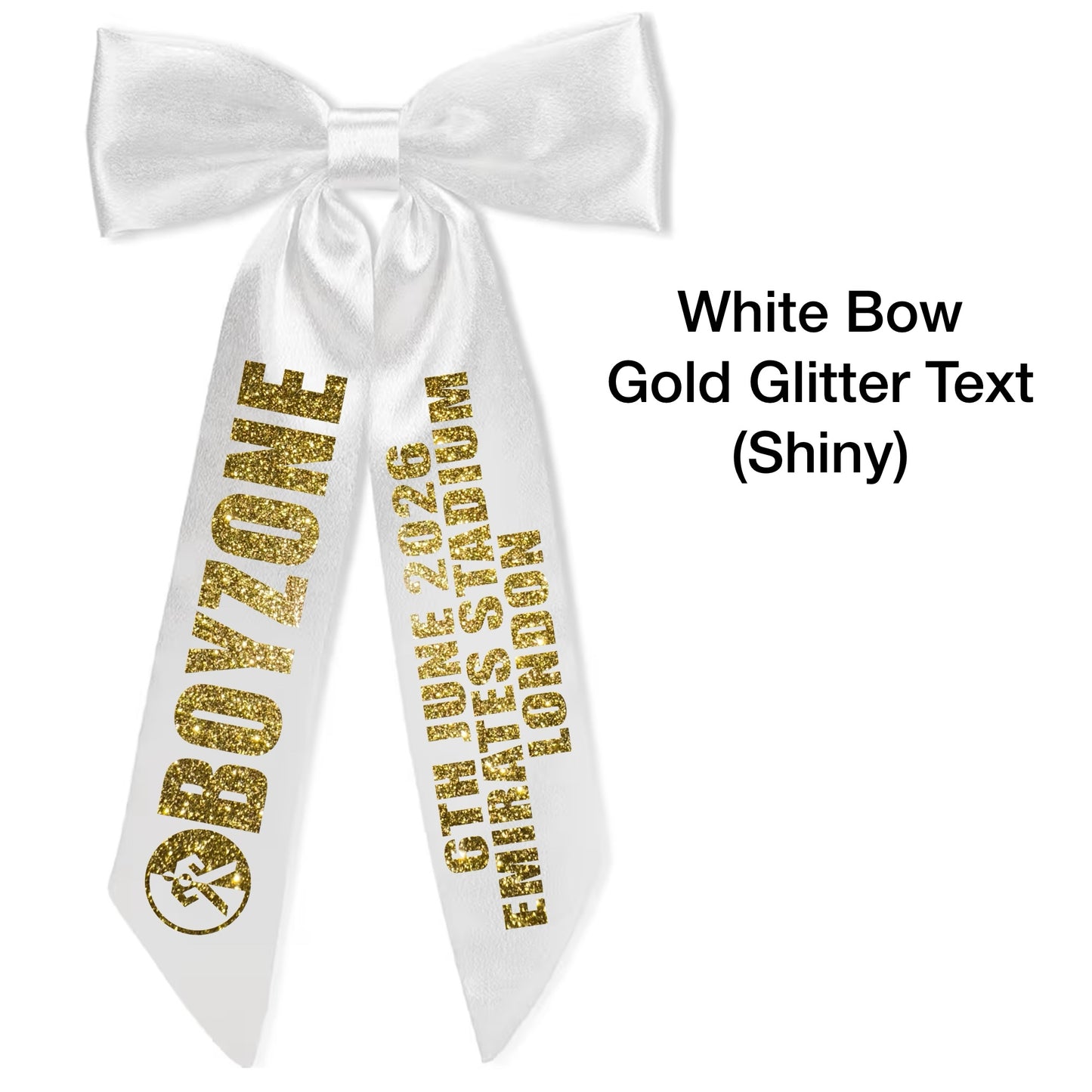 BZ Concert Hair Bows