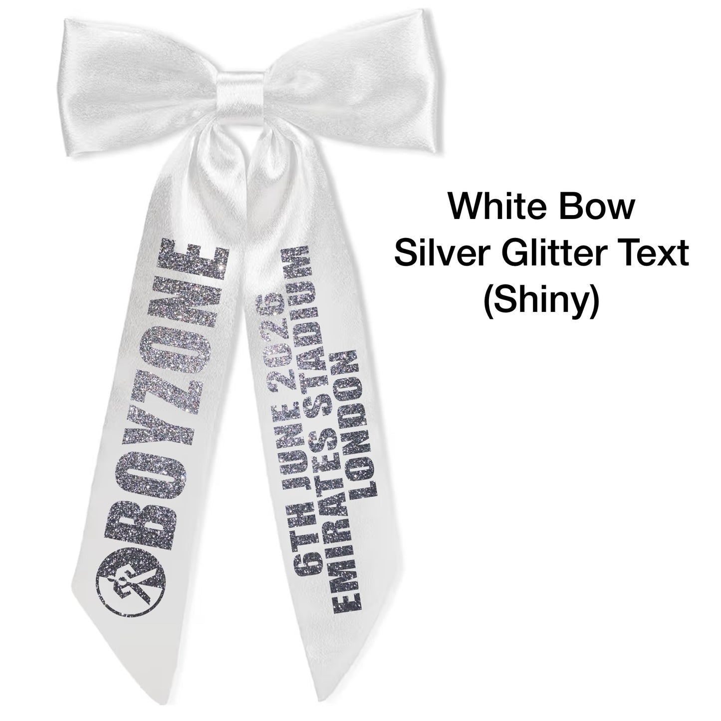 BZ Concert Hair Bows