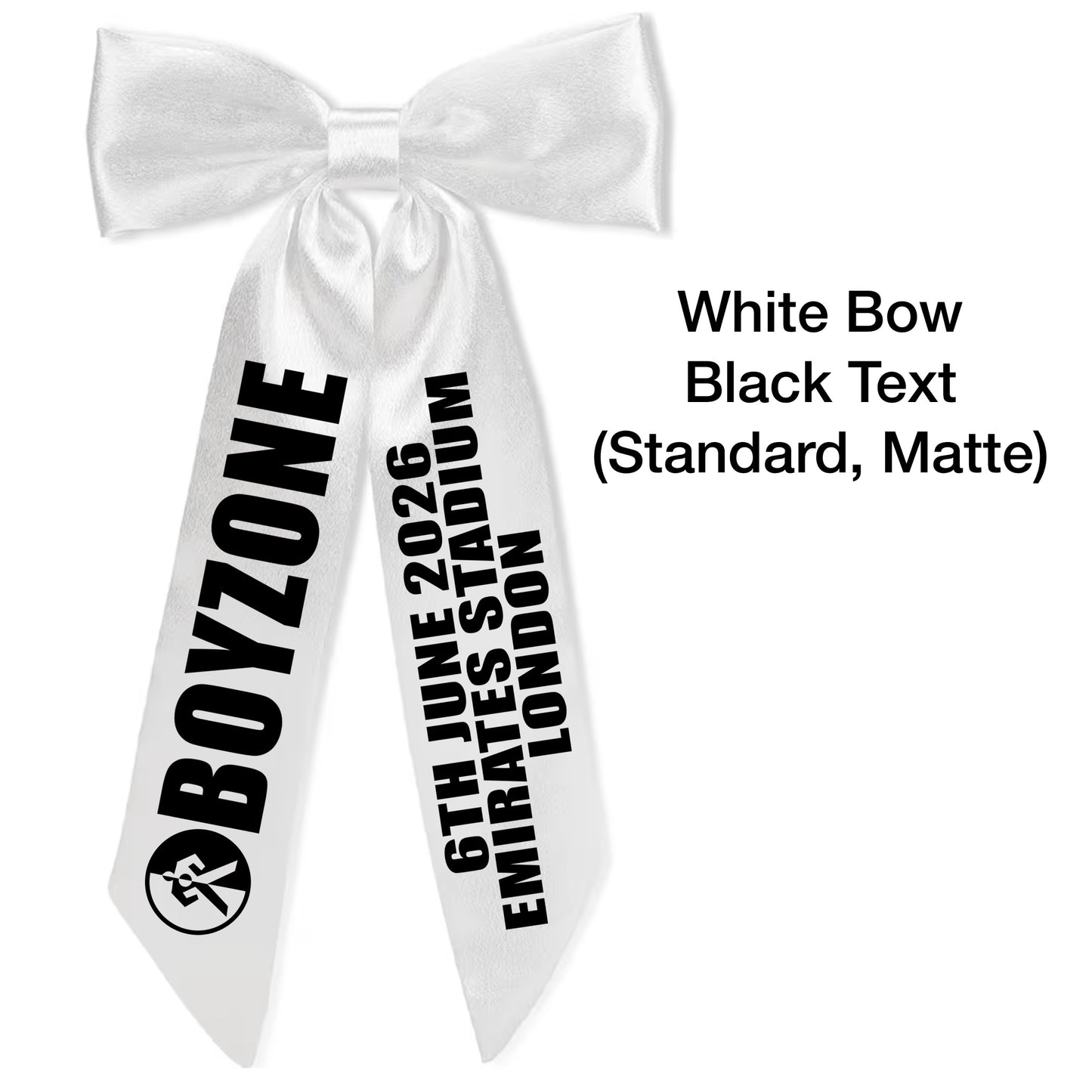 BZ Concert Hair Bows