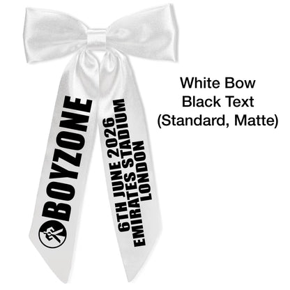 BZ Concert Hair Bows