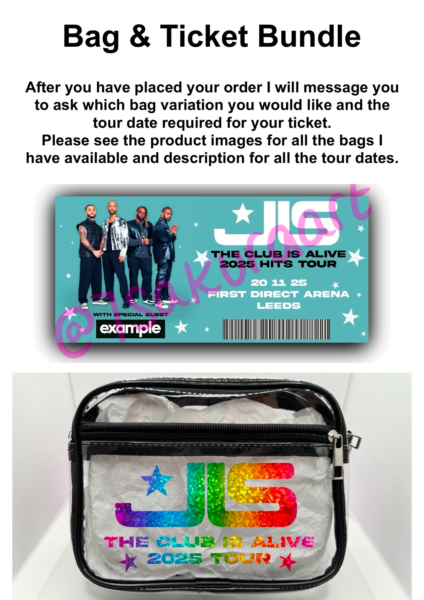 Boy Band Concert Tour Bag